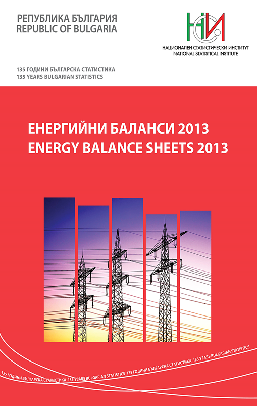 Energy Balance Sheets 2013