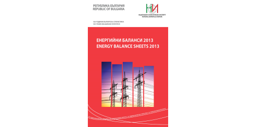 Energy Balance Sheets 2013